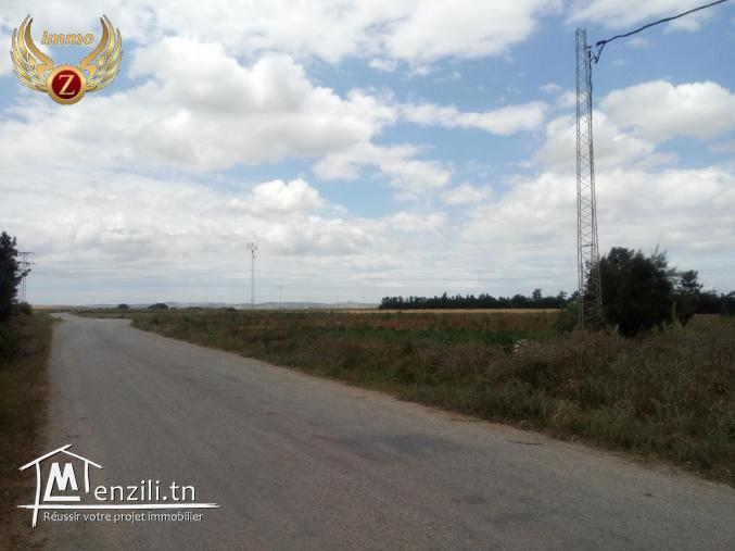 à vendre terrain 3000m² akelibia