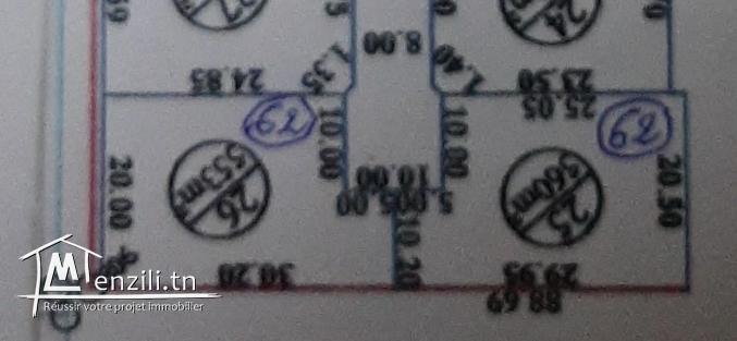 Rte Manzel Chaker km 11