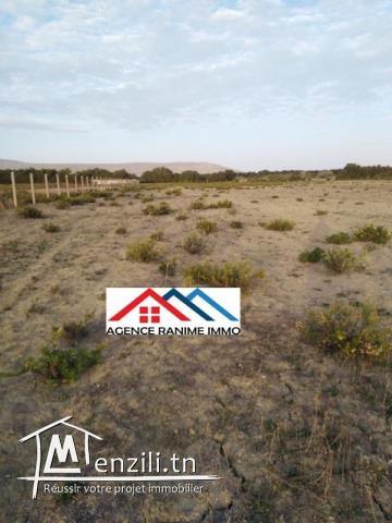 villa a louer a sahloul