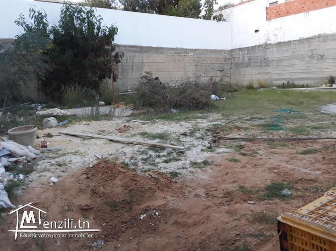 Lot 300m Hammamet Nord Carrefour
