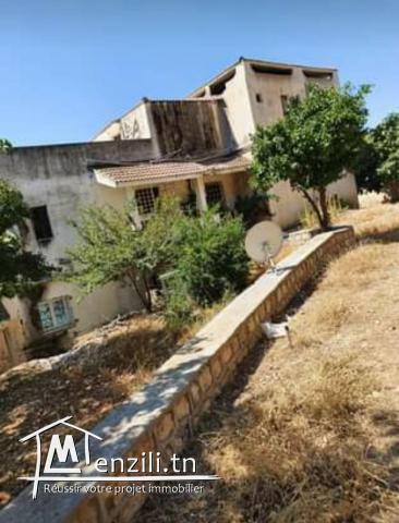 Immeuble à vendre à Bullarigia, Jendouba Nord