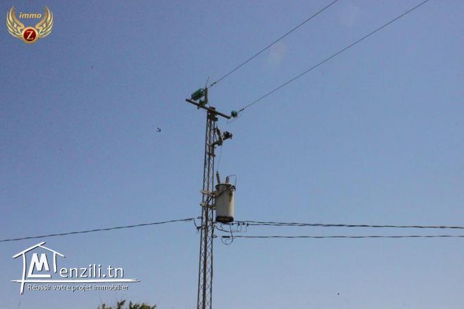 2.5 hectares à 75 milles à kelibia pour plus d'info 55201288