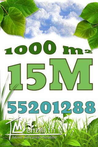 Zina immo met à vendre un terrain de superficie 9000 m² à kélibia 55201288