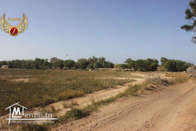 Terrain à vendre situé à kélibia dans une zone résidentielle