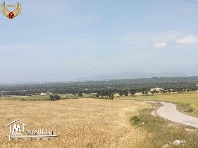 un superbe terrain à kélibia