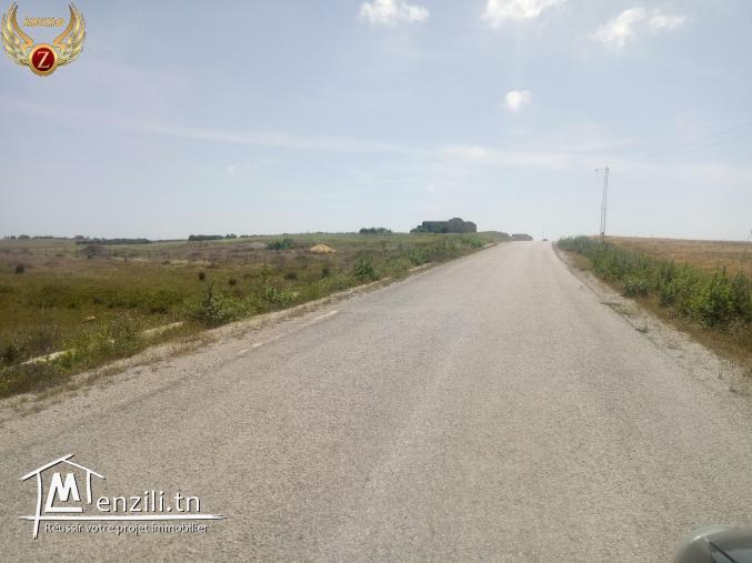 un superbe terrain à kélibia