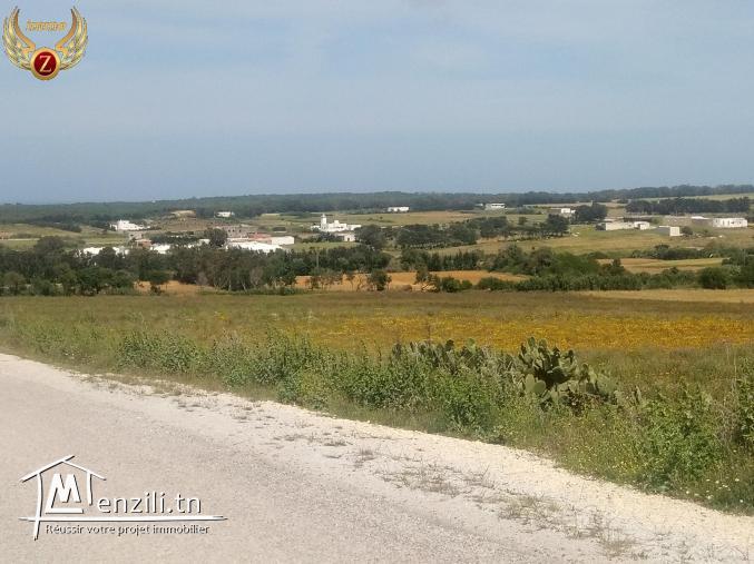 un superbe terrain à kélibia