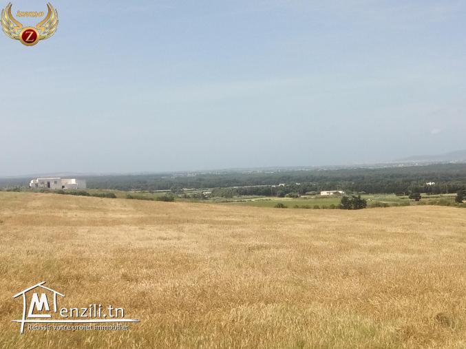 un superbe terrain à kélibia