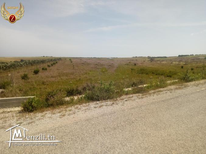 un superbe terrain à kélibia