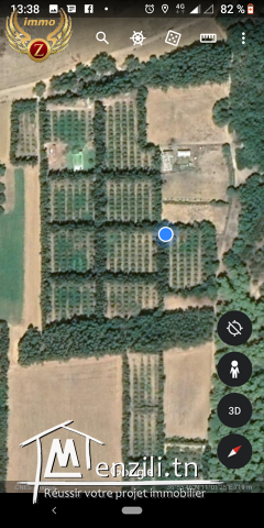 senya à azmour kelibia