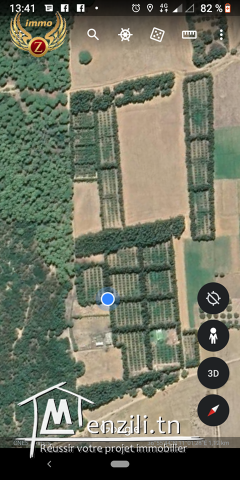 senya à azmour kelibia