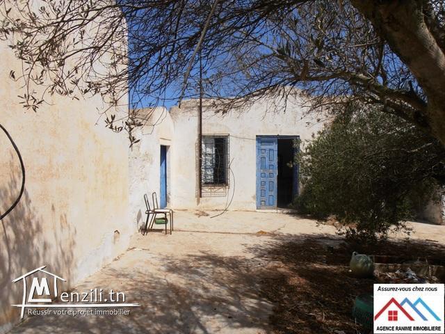 Maison style arbi ds 2061m2 à el haouaria 8045