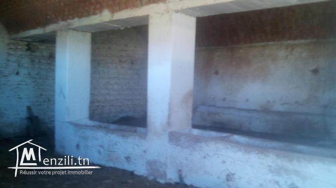 Maison style arbi ds 2061m2 à el haouaria 8045