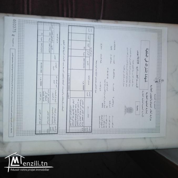 Terrain agricole d'un hectare à borj El amri