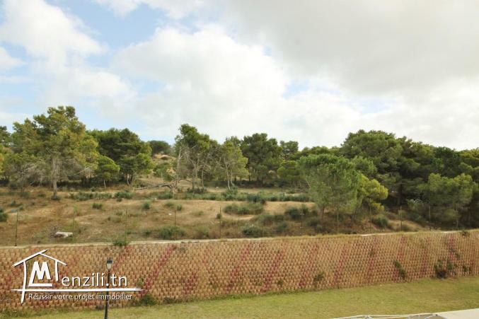 Lumineux appartement avec vue sur la forêt