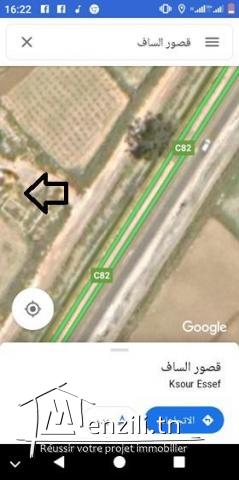 terrain a vendre ksouressef mahdia surface 3150m contact 99000783