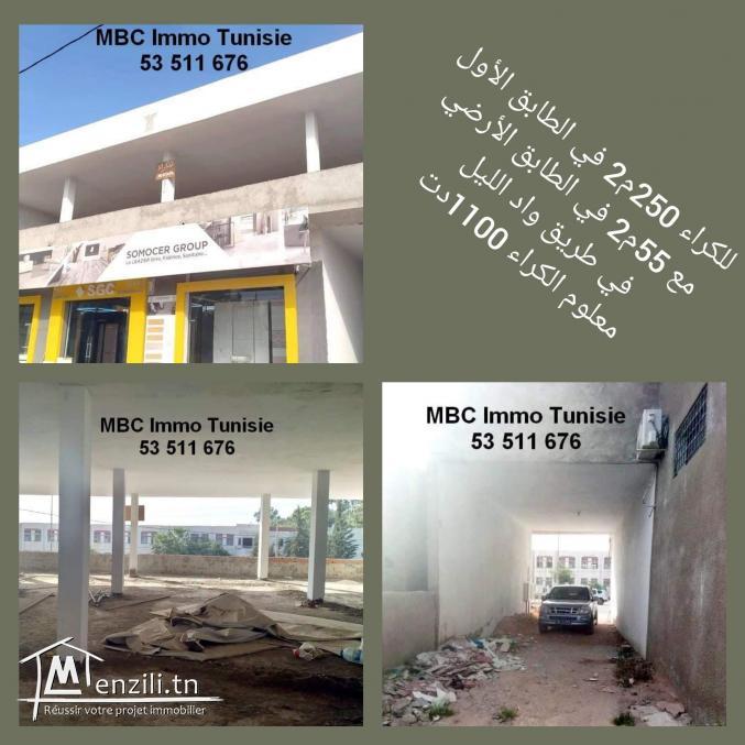 250M2 OPENSPACE SUR GP7 LA GRANDE ROUTE QUI MENE VERS OUED ELLIL