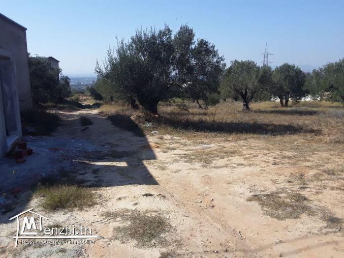 Terrain 1710 m compagne Hammamet