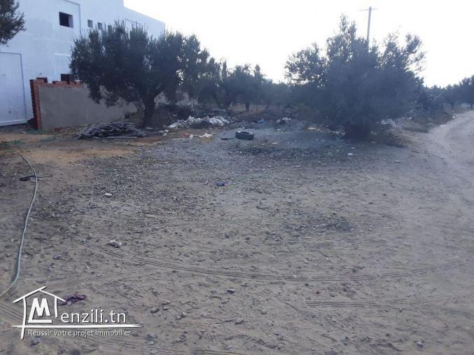 Terrain 200 m compagne Hammamet prix abordable