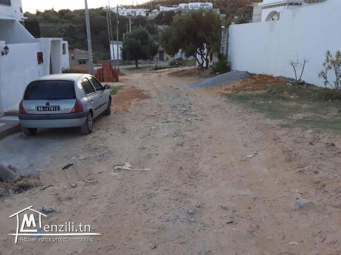 Terrain 300 m Hammamet Nord Carrefour