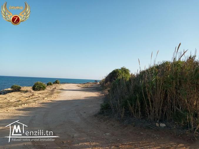 A vendre des terrains à sidi mansour kelibia