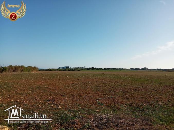 A vendre des terrains à sidi mansour kelibia