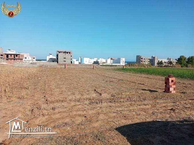 à vendre des terrains à la plage  Ezahra Kelibia