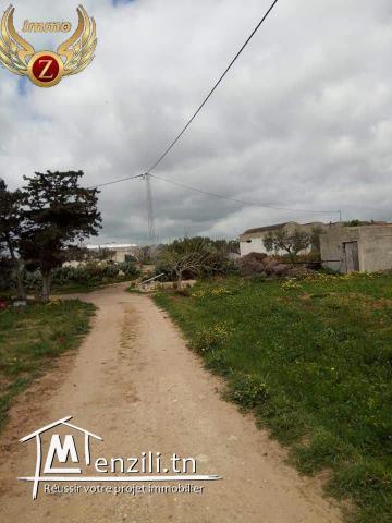 A vendre terrain à la plage Aiin Grinz kelibia# 54810204