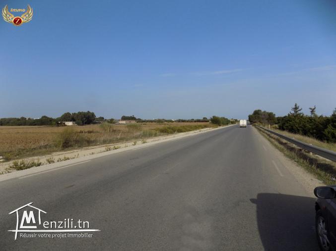 A vendre  terrains à la plage Aiin Grinz Kelibia