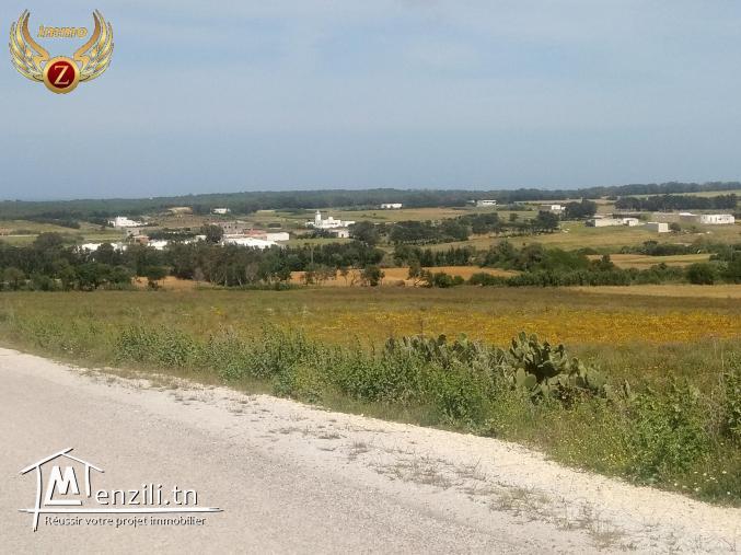 terrain 9000m² à vendre à tamozrat- kelibia# 54810204