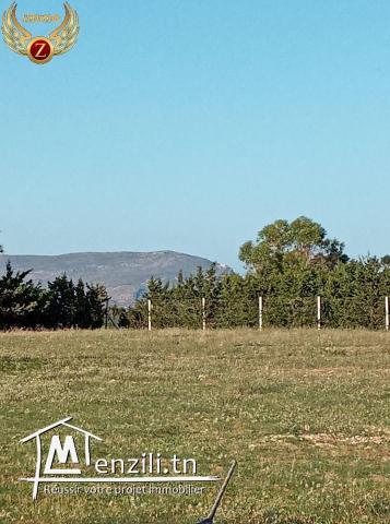 Notre Lotissement sis en 2 éme position de la mer dar allouch