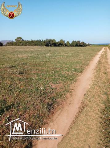 Notre Lotissement sis en 2 éme position de la mer dar allouch