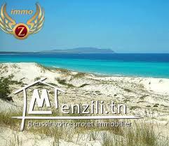 A vendre un terrain sidi mansour kélibia