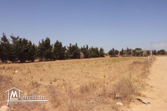 à vendre un terrain de superficie 300 m²