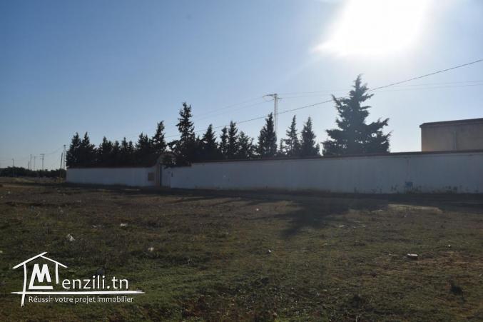 A vendre un terrain à hammamet sud