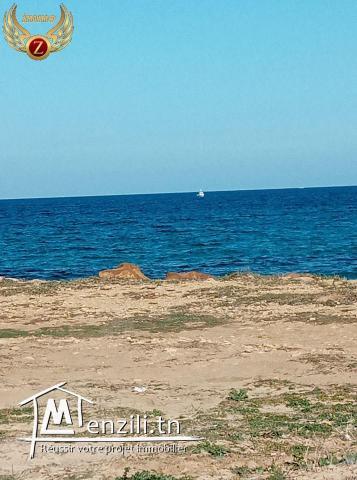 un superbe terrain de 2000 m²  à kélibia