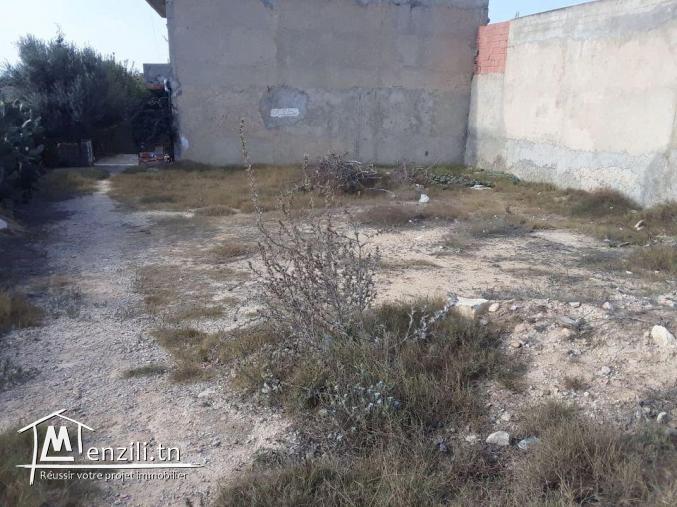 Terrain 300 m proche Hammamet prix abordable