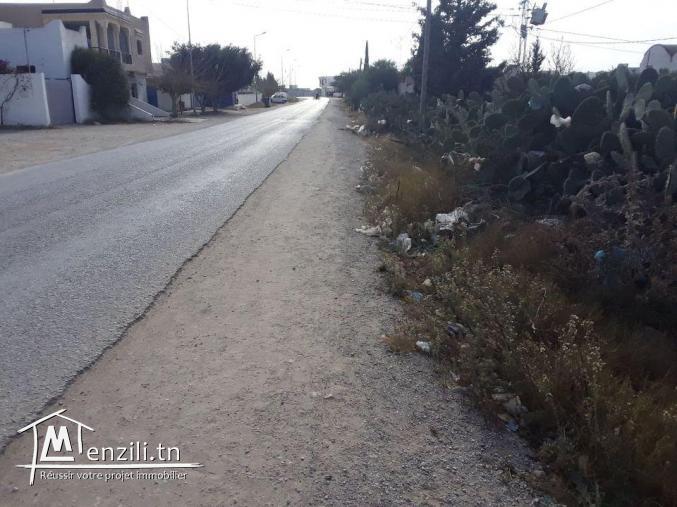 Terrain 300 m proche Hammamet prix abordable