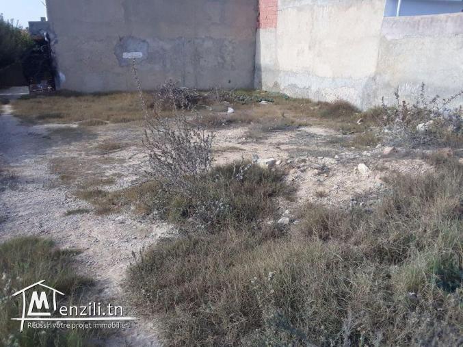 Terrain 300 m proche Hammamet prix abordable