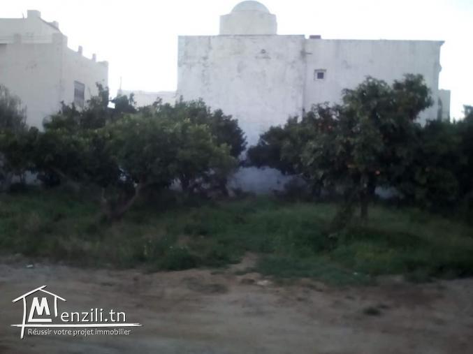 Lot 231 m Hammamet proche théâtre