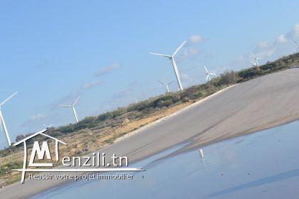 Un superbe terrain situé a El Argoub Haouaria