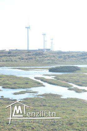 Un superbe terrain situé a El Argoub Haouaria