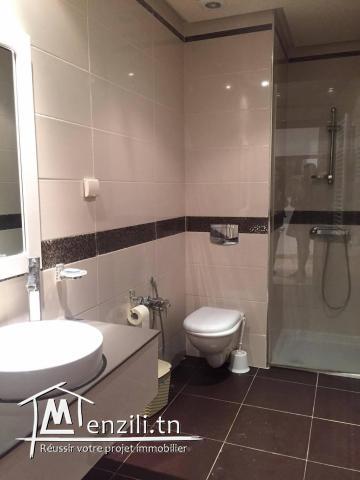 A louer un appartement S1 entièrement meublé au Lac 2