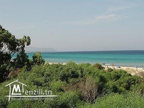 a vendre un terrain de 1000m²