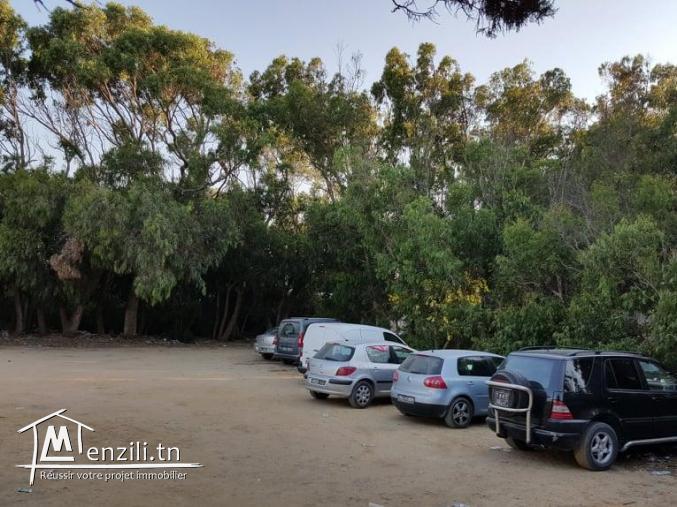 a vendre un terrain de 1000m²