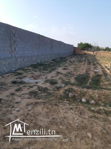 Terrain à vendre route el ain km 12.5