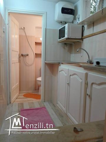 petit appartement bien meublé indépendant