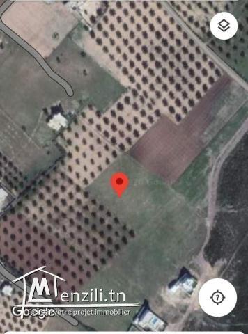 ارض للبيع قرب ياسمين الحمامات