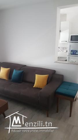 s+1 neuf richement meublé