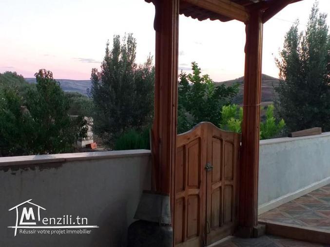 A vendre terrain agricole #Bizerte